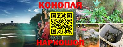 МДПВ Рыбинск