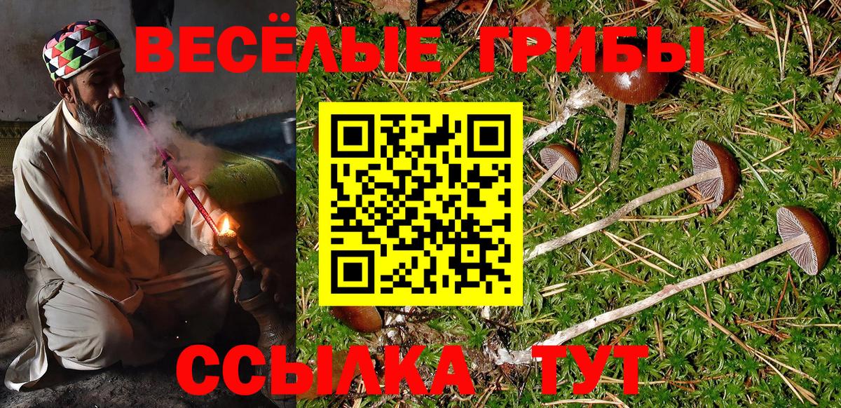 Псилоцибиновые грибы Cubensis Азов