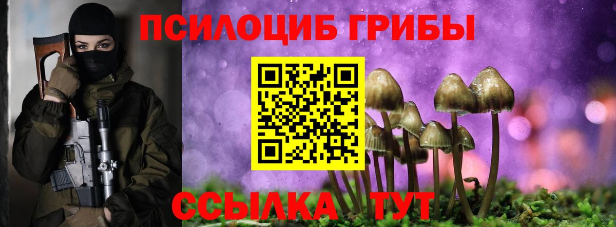 Азов  где купить наркотик  Вход с VPN  Галлюциногенные грибы GOLDEN TEACHER 